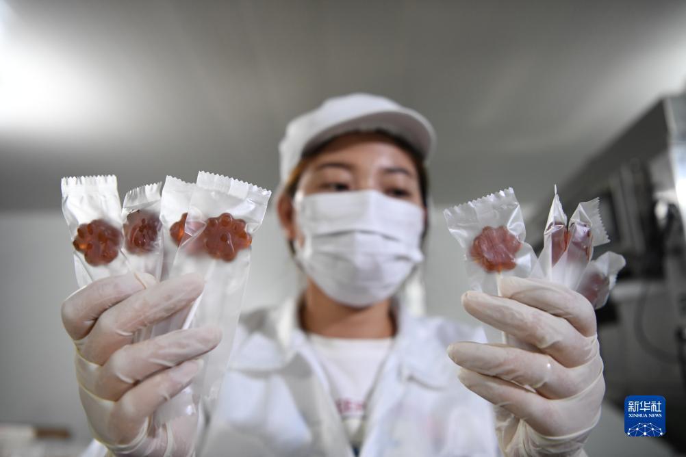永利唯一网址